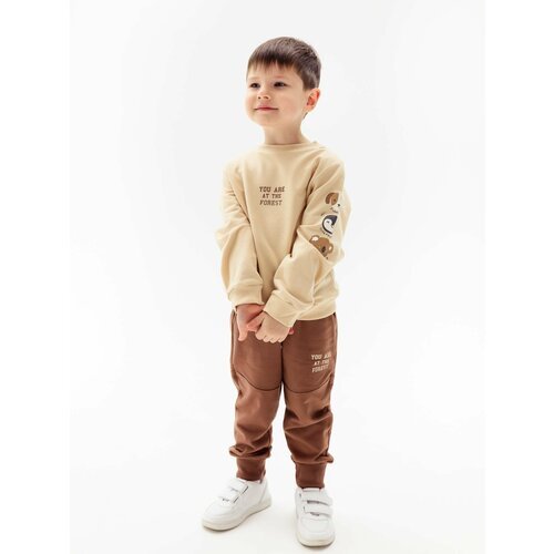 Комплект одежды для мальчиков, свитшот и брюки, размер 92, коричневый, бежевый